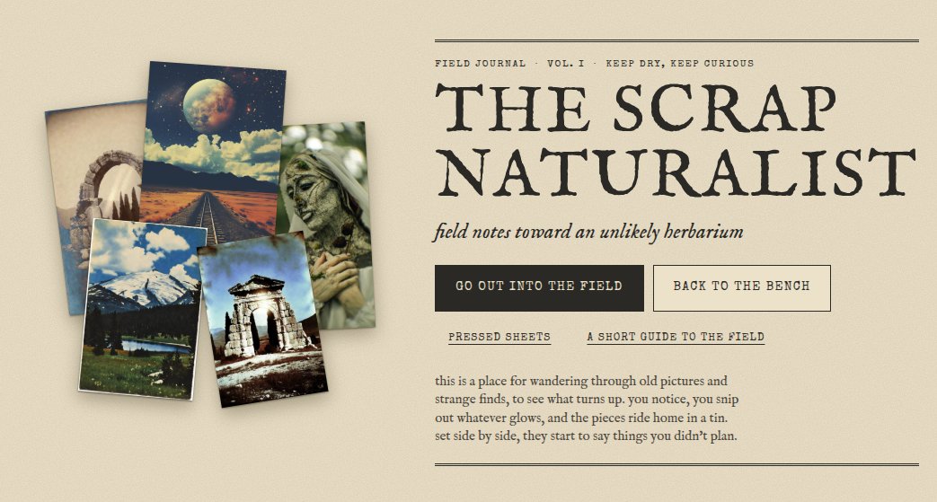 Screenshot of The Scrap Naturalist, an interactive field journal for collecting and arranging fragments of old pictures.